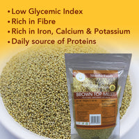 Shastha - Brown Top / Browntop Millet - 500g (1.1 Lbs)