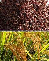 Heritage Rice -60M Kuruvai  Rice 2lbs