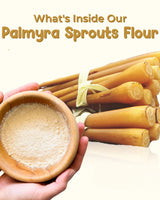Shastha -  Palm Sprouts Powder (PanaKizhangu Mavu ) -350g