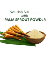 Shastha -  Palm Sprouts Powder (PanaKizhangu Mavu ) -350g
