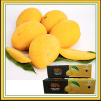 Fresh Indian Banganapalli Mangoes - Pack of 8 ( Includes Free Shipping )
