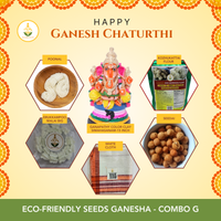 ( Eco Friendly Seed Ganesha )  Color Clay Big  " 15 " - Combo Pack  G (FOR PICKUP ONLY )