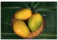 Fresh Indian Imam Pasand  Mangoes -6 Pcs / Box ( Includes Free Shipping )