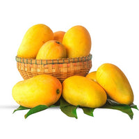 Fresh Indian  Golden Kesar Mangoes - BOX (For Pickup only within 24 hrs once ready )