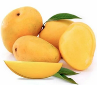 Fresh Indian Banganapalli Mangoes - 6 Pcs ( Includes Free Shipping )