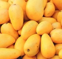Fresh Indian  Langra Mangoes  - BOX (For Pickup only within 24 hrs once ready )