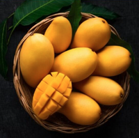 Fresh Indian  Golden Kesar Mangoes - BOX (For Pickup only within 24 hrs once ready )