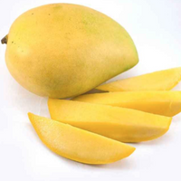Fresh Indian Totapuri Mangoes - 5 Pcs ( Includes Free Shipping )