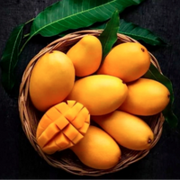 Fresh Indian  Golden Kesar Mangoes - BOX (For Pickup only within 24 hrs once ready )