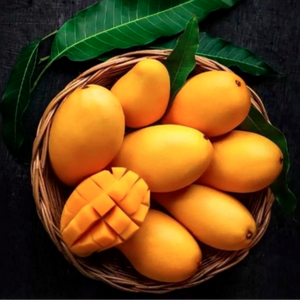 Fresh Indian  Golden Kesar Mangoes - BOX (For PICKUP ONLY within 24 hrs once ready )