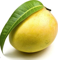 Fresh Indian Kalepod Mangoes  -6 Pcs / Box (Includes Free shipping  )