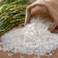 Shastha Wada Kolam Rice 10 lbs
