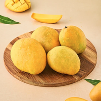 Fresh Indian Banganapalli Mangoes - 6 Pcs ( Includes Free Shipping )