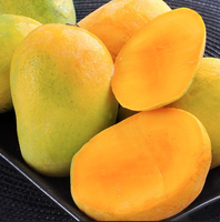 Fresh Indian  Payari  Mangoes - BOX (For Pickup only within 24 hrs once ready )