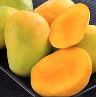 Fresh Indian  Payari  Mangoes - 9-11 pcs / BOX ( For Pickup only )