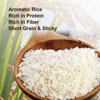 Shastha Gobhind Bhog Rice 10 lbs