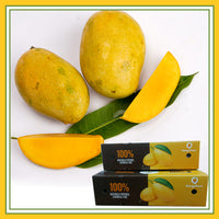 Fresh Indian Mallika Mangoes  - 8 Pcs / BOX  (FOR PICKUP ONLY )